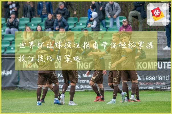 世界杯让球投注指南带你轻松掌握投注技巧与策略