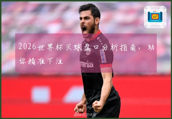 2026世界杯买球盘口分析指南，助你精准下注