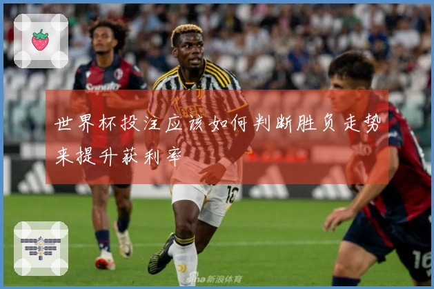 世界杯投注应该如何判断胜负走势来提升获利率