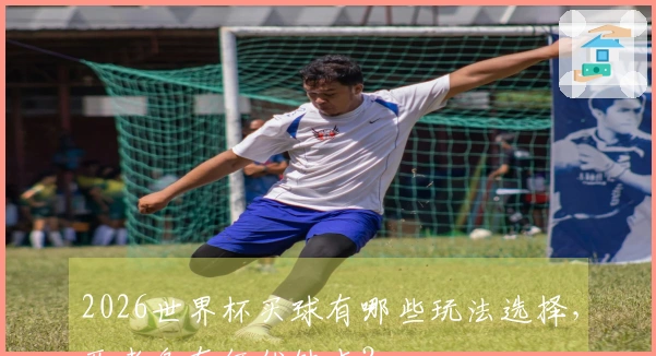 2026世界杯买球有哪些玩法选择，两者各有何优缺点？