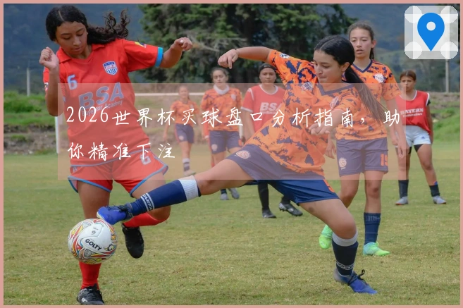 2026世界杯买球盘口分析指南，助你精准下注