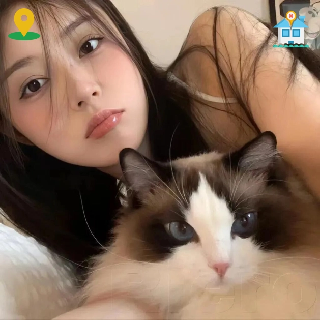 用户头像